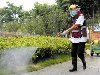 番禺区大夫山公园进行蚊虫消杀