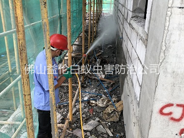 小塘建筑白蚁预防工程