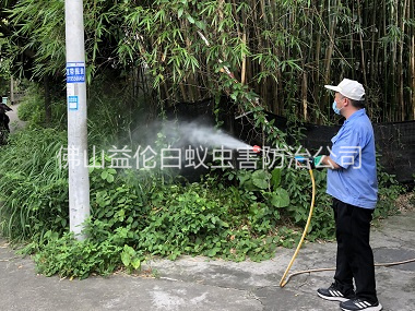 佛山有害生物消杀工程
