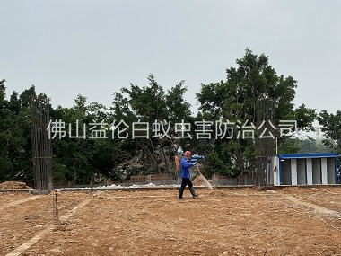 西樵新建地基预防白蚁工程