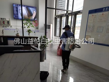 九江室内杀灭蚊蝇工程